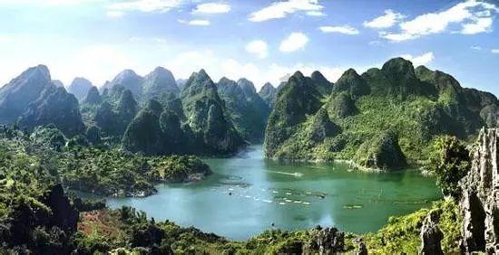 玄凤灰色鹦鹉多少块钱一只啊？游戏画面